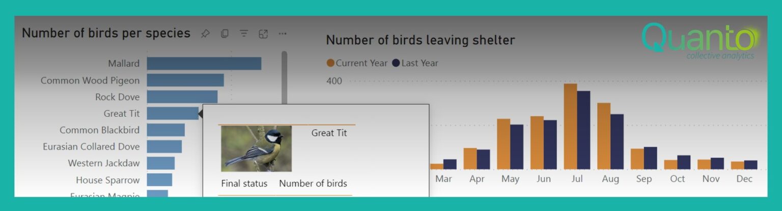 Creating tooltips with pictures in Power BI – Quanto